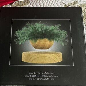 Levitation Arts The Antigravity Air Fern